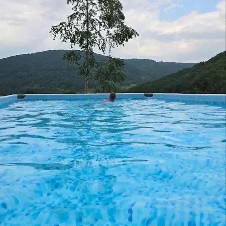 Aж у небі Holiday home Vizhenka