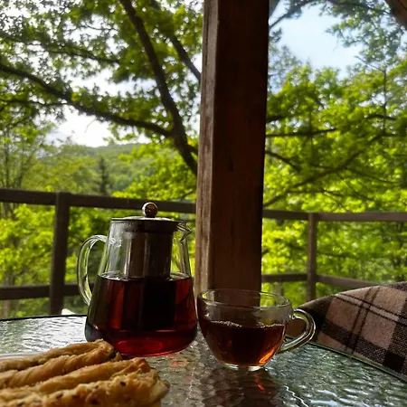 Aж у небі Vizhenka